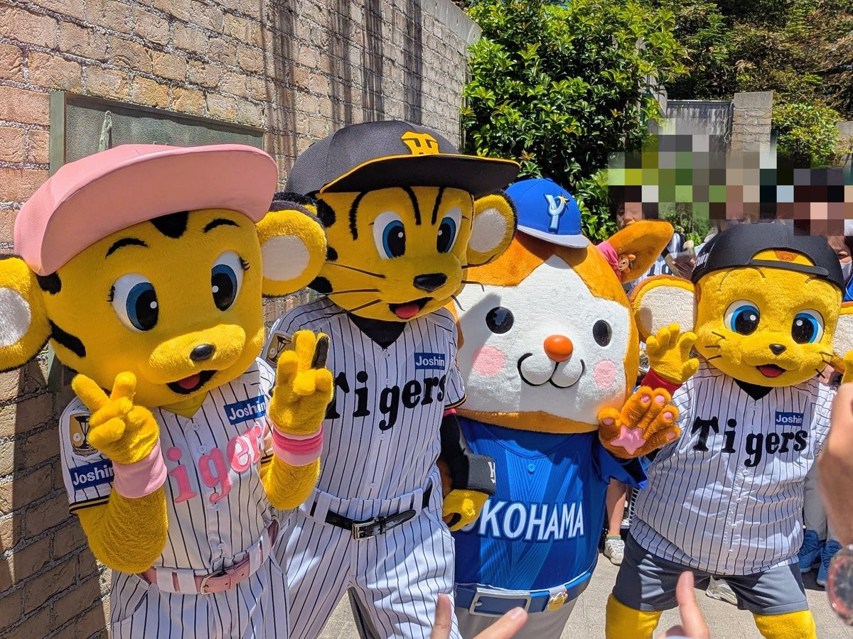 くらだしベイスターズ＃ tweet media