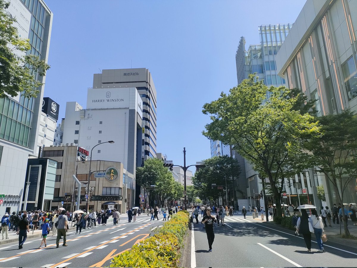 ノビ・ノビタ・ビンタ tweet media
