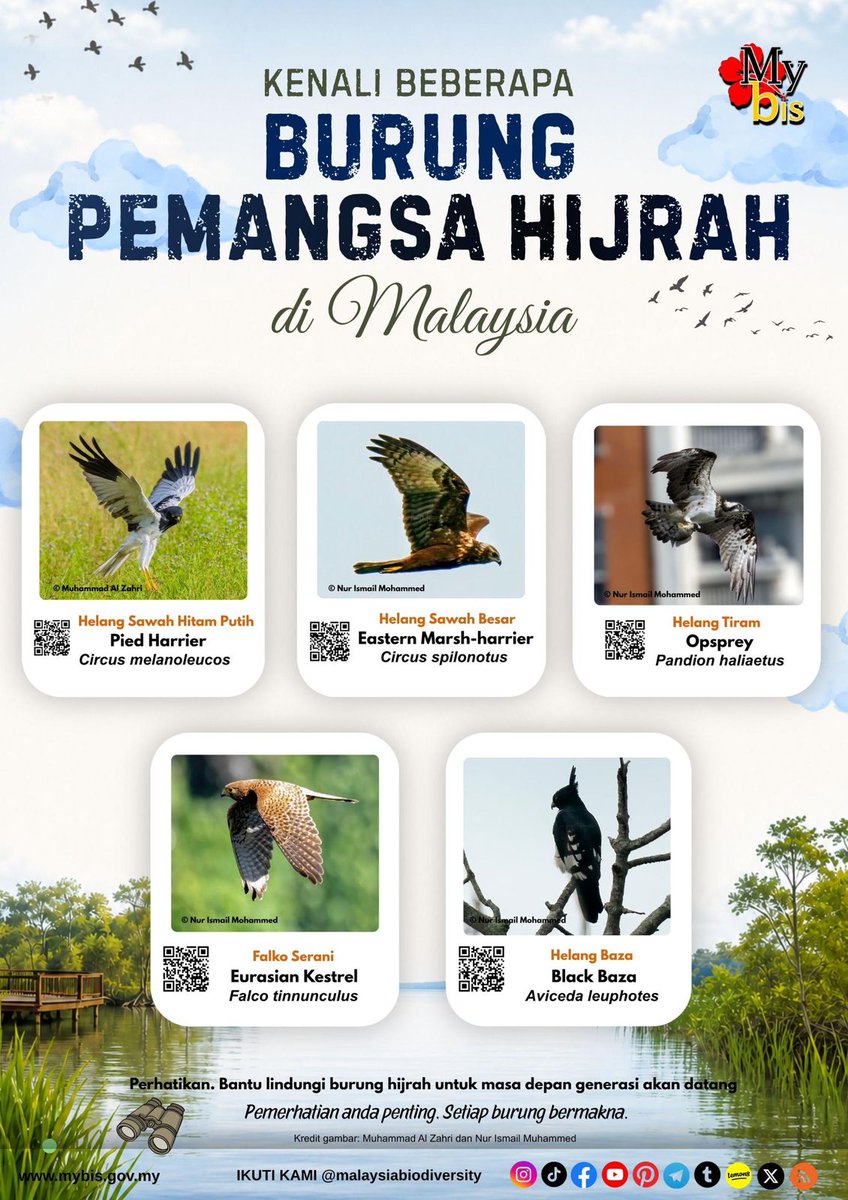 🇲🇾 Malaysia Biodiversity tweet media