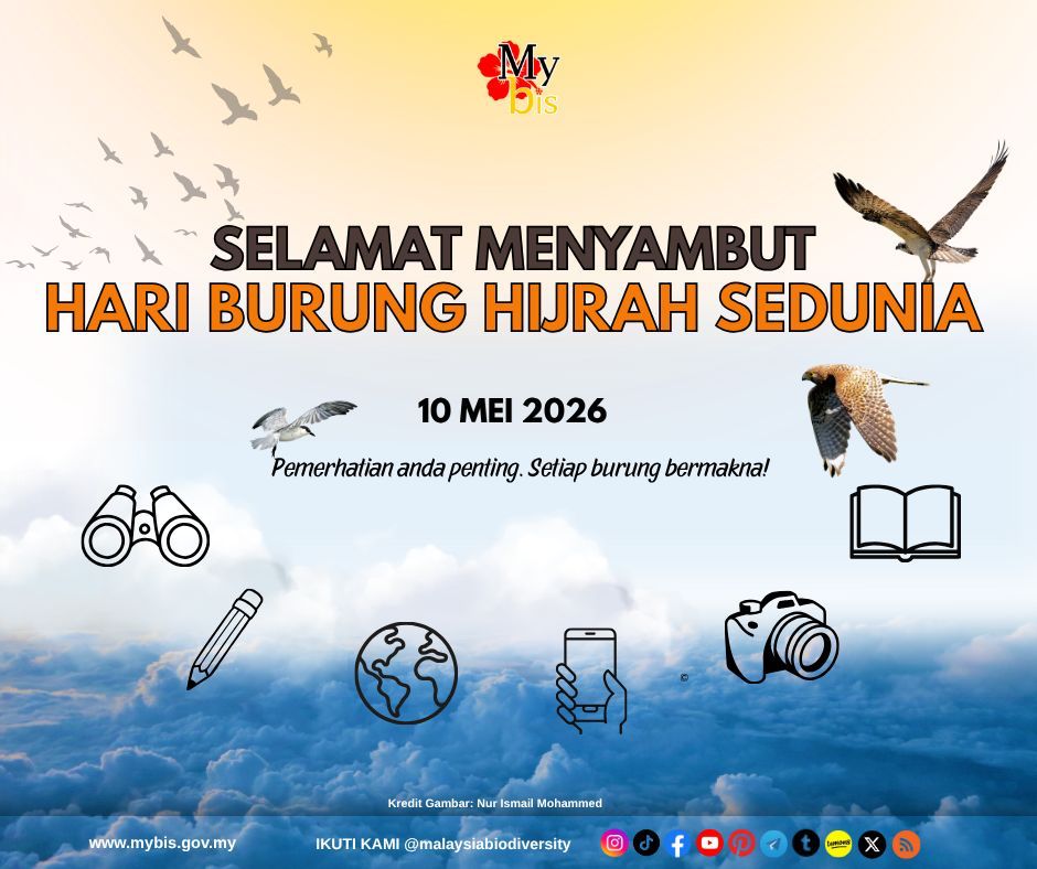 🇲🇾 Malaysia Biodiversity tweet media