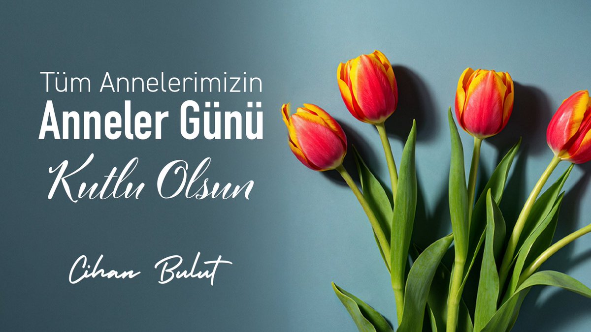 Cihan BULUT tweet media