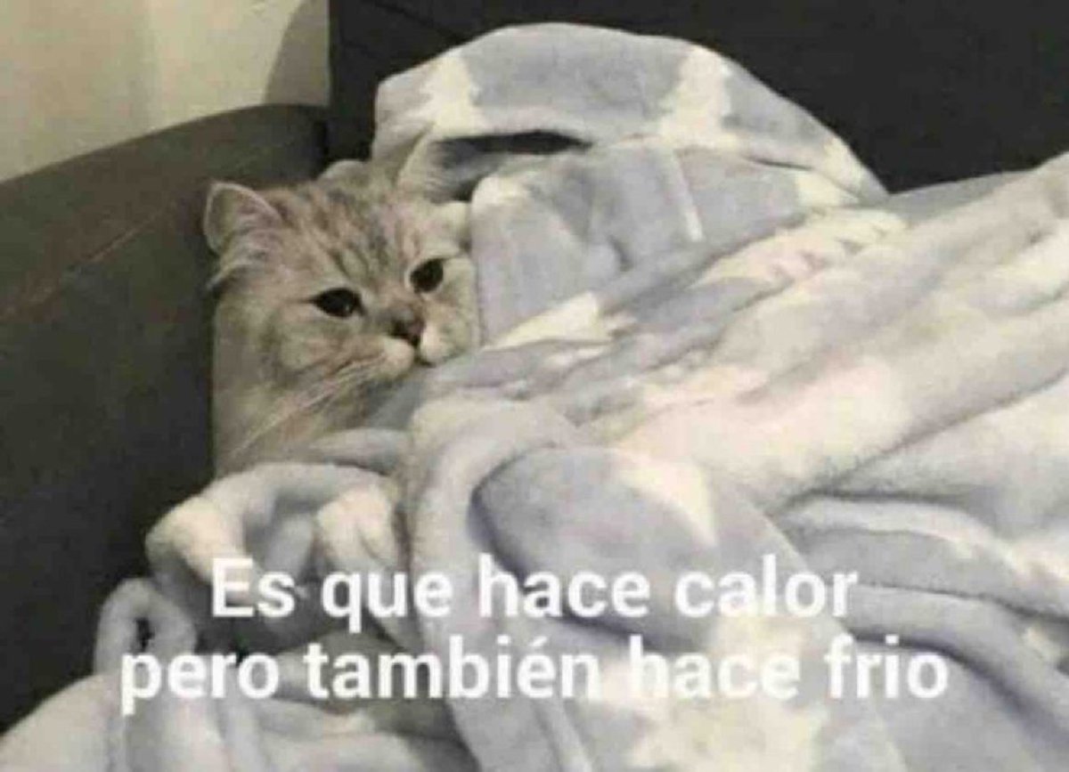 Guarromantico_'s tweet photo. — ¿Para qué prendes el ventilador si te vas a cobijar?

— Yo: https://t.co/JA0od7vfnu