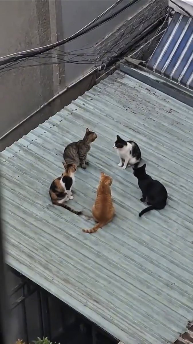 MrBeast_Parody tweet media