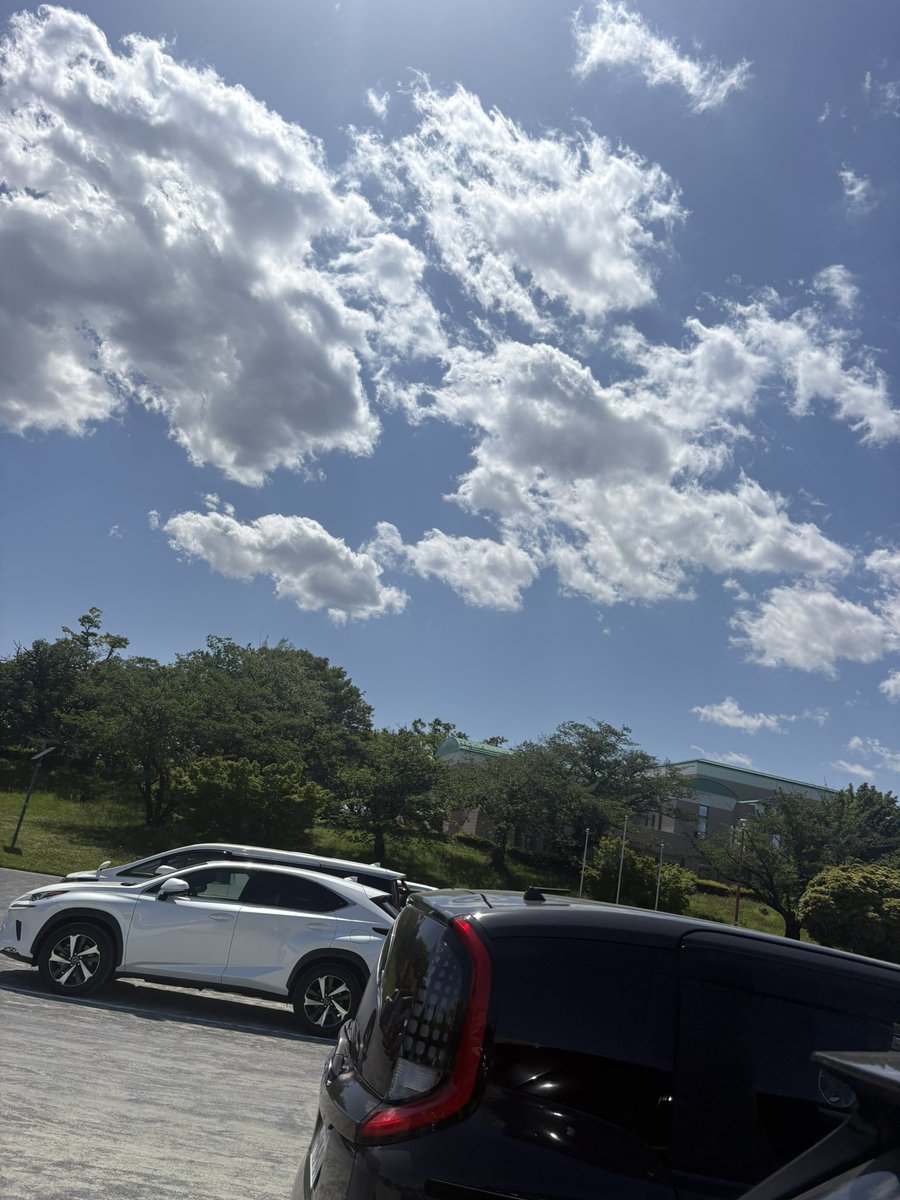riku_224's tweet photo. ばっか天気良！ https://t.co/5JlaWjGp90