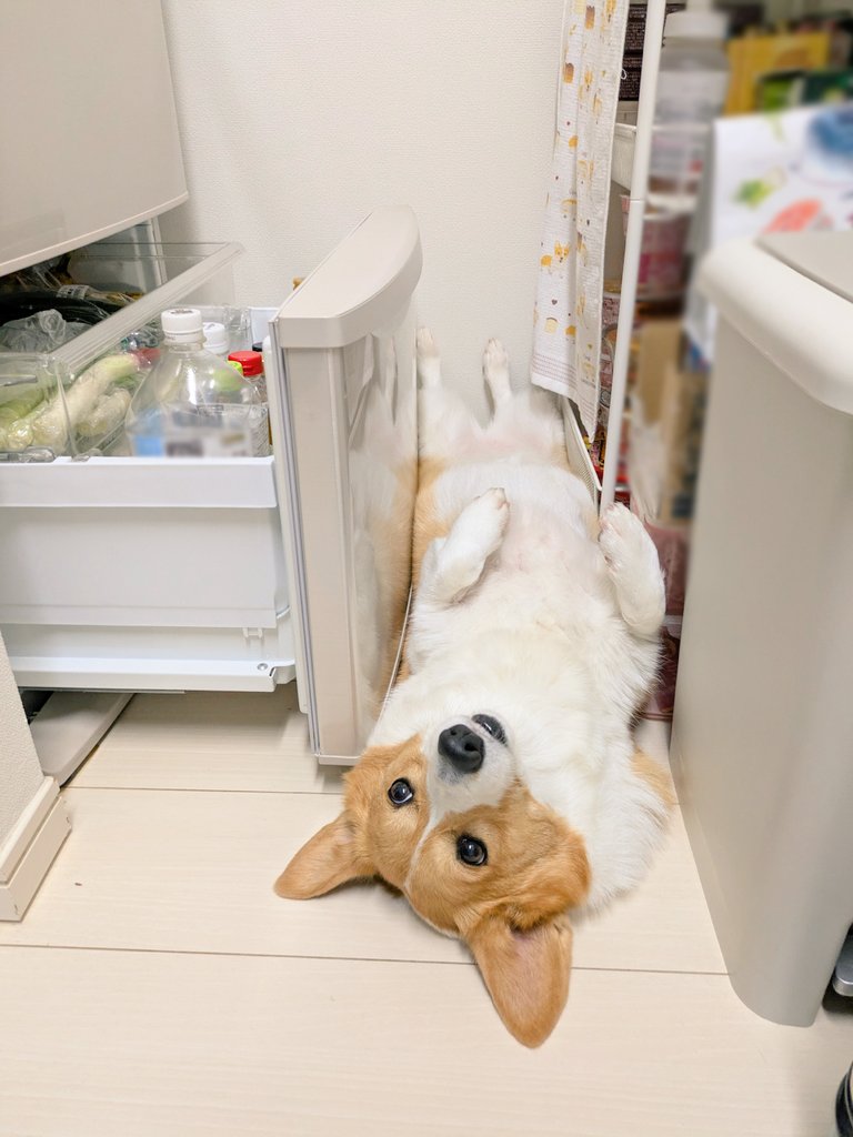 急いでたから
このまま開けて取らせてもらった