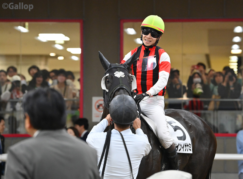 gallop_keiba's tweet photo. 東京6Rは4番人気 #ウインイザナミ が勝利！ 後方から上がり最速の末脚で差し切り！ https://t.co/llB0RAXU5N