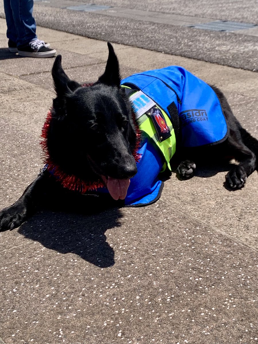IWADSHINGO's tweet photo. ☀️🥵💦🫡🐕‍🦺♦️
#三菱重工浦和レッズレディース https://t.co/fNSwT5wJ2Y
