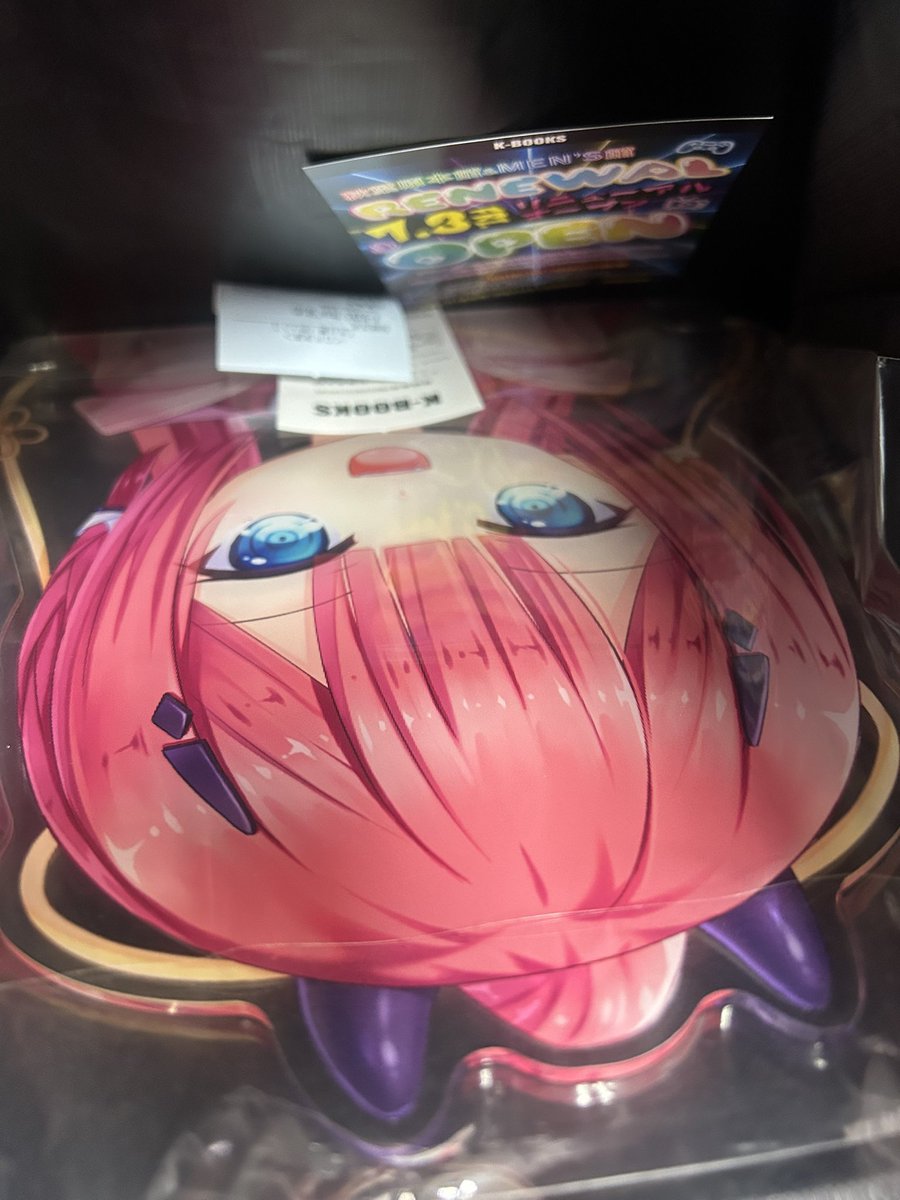 K-books来たら識ちゃん半等身VAの定価で売ってたので6つ目を購入
