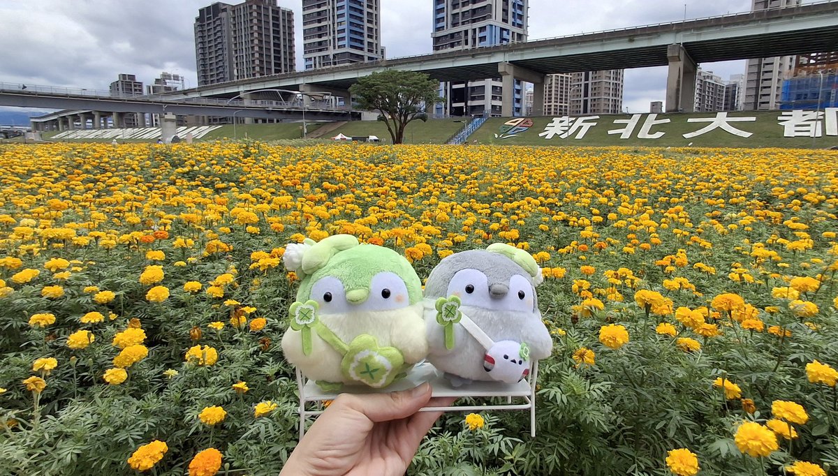 南国の中の人は、ここにたどり着いたまで、40分の迷子だった🌼
えらい！