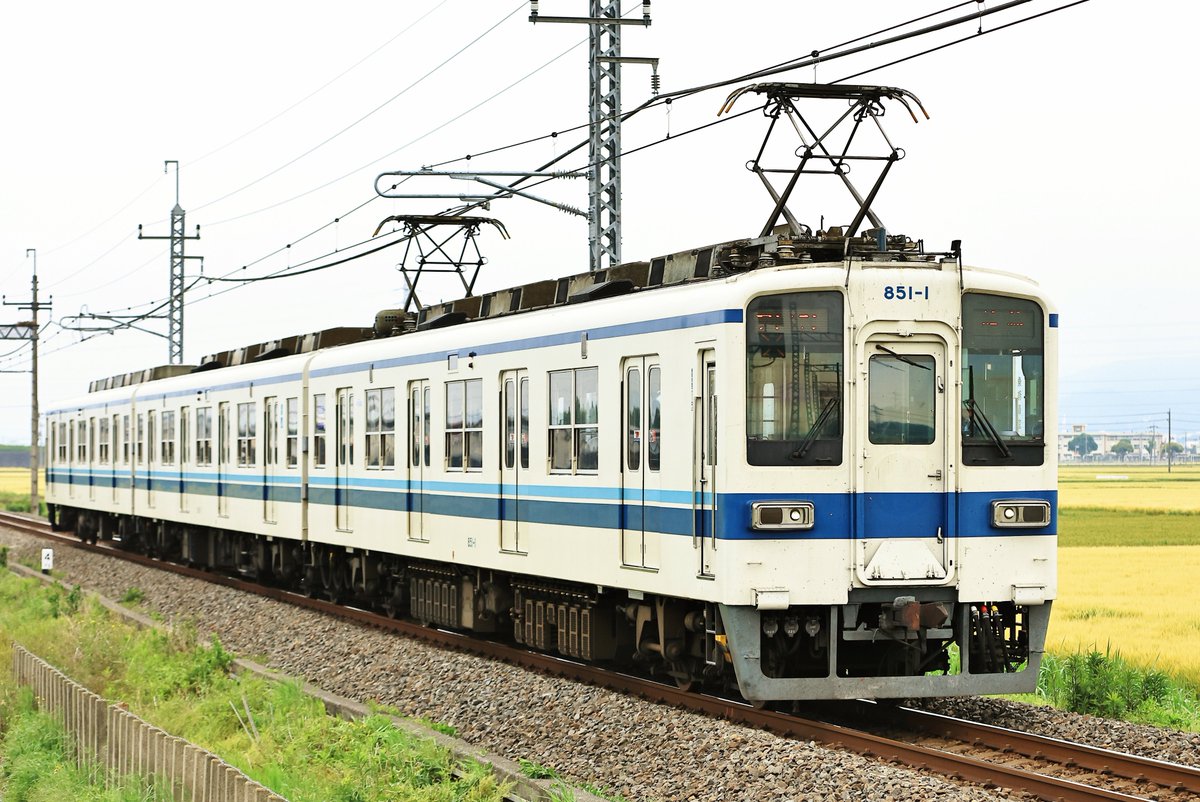 亀井 tweet media