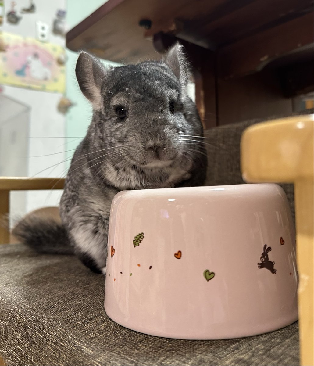 こっとん tweet media