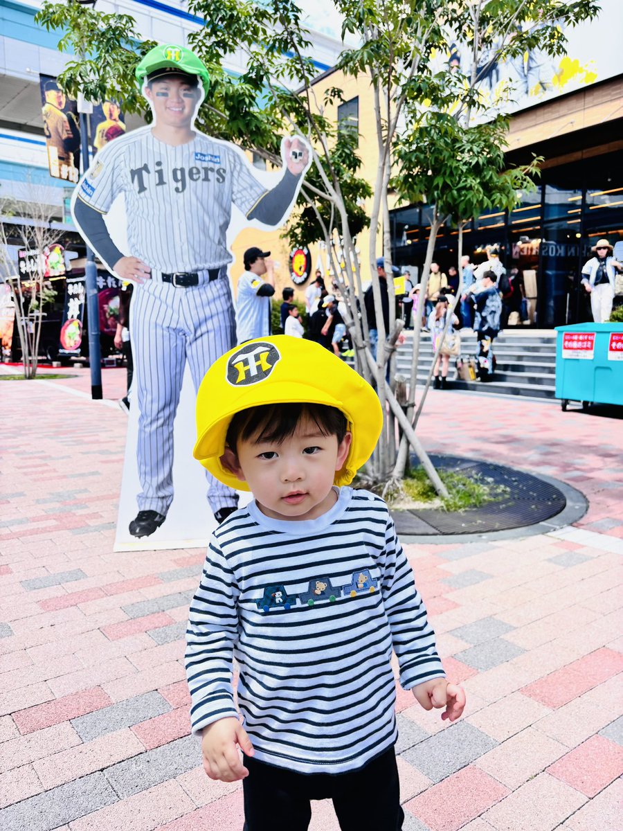 公式】阪神タイガースグッズ情報 (@tigersgoodsinfo) / Posts and