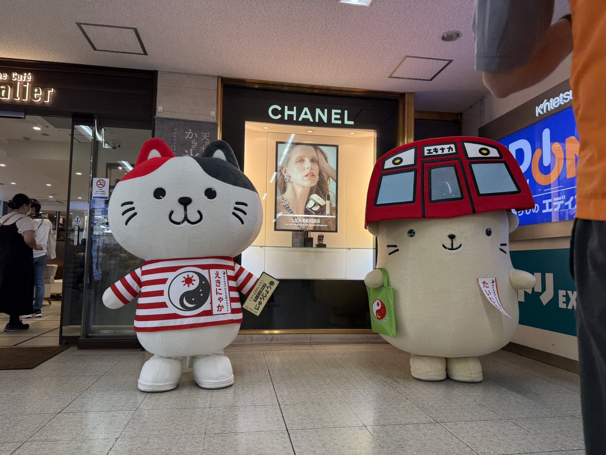 マナティ_(:3」∠)_次元の声真似の人 tweet media