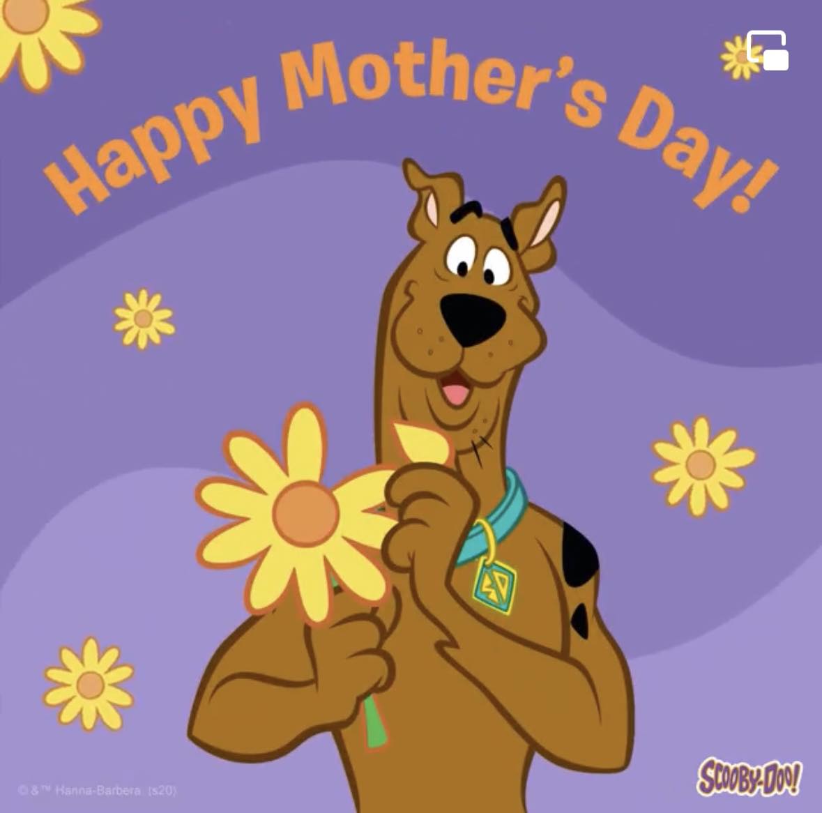ScoobyAddict tweet media