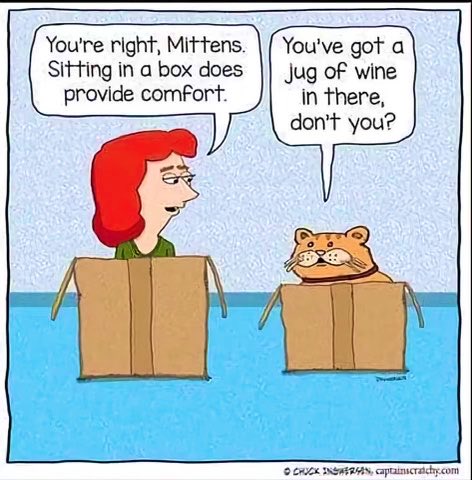 "Mad Cat" Cattis tweet media