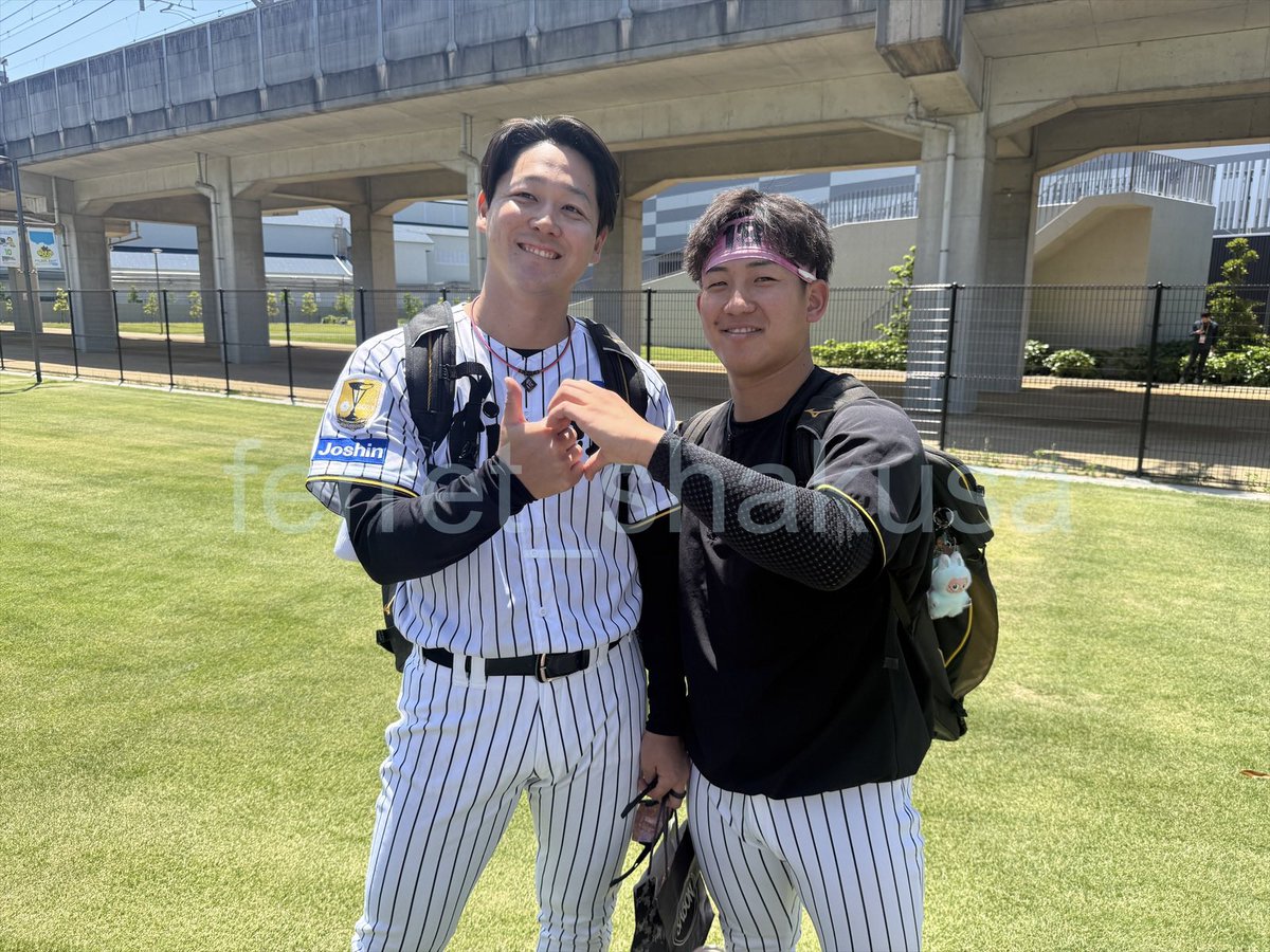 フェレット tweet media