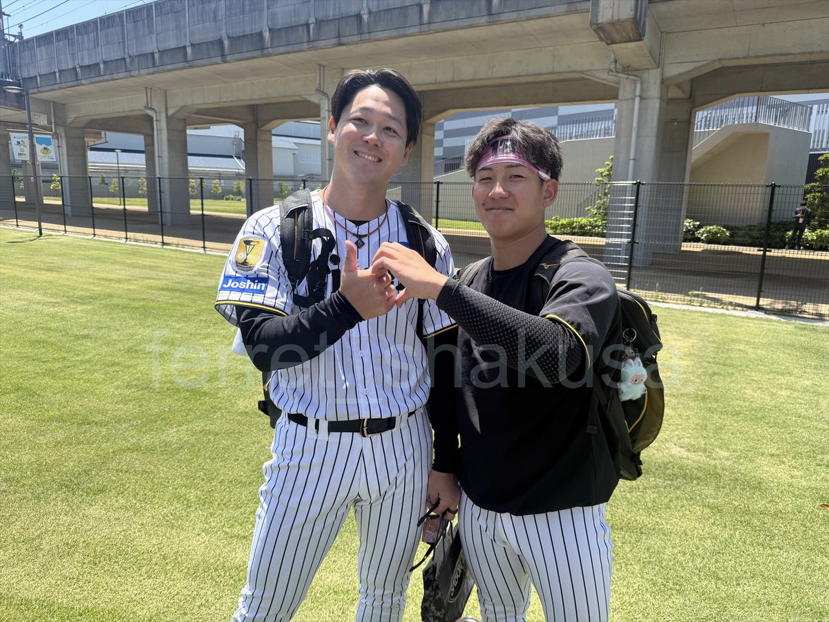 フェレット tweet media