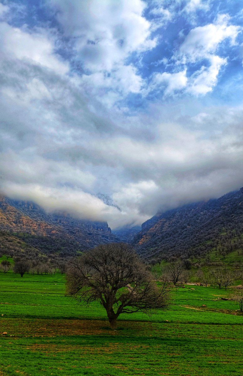 سرباز ؛ tweet media