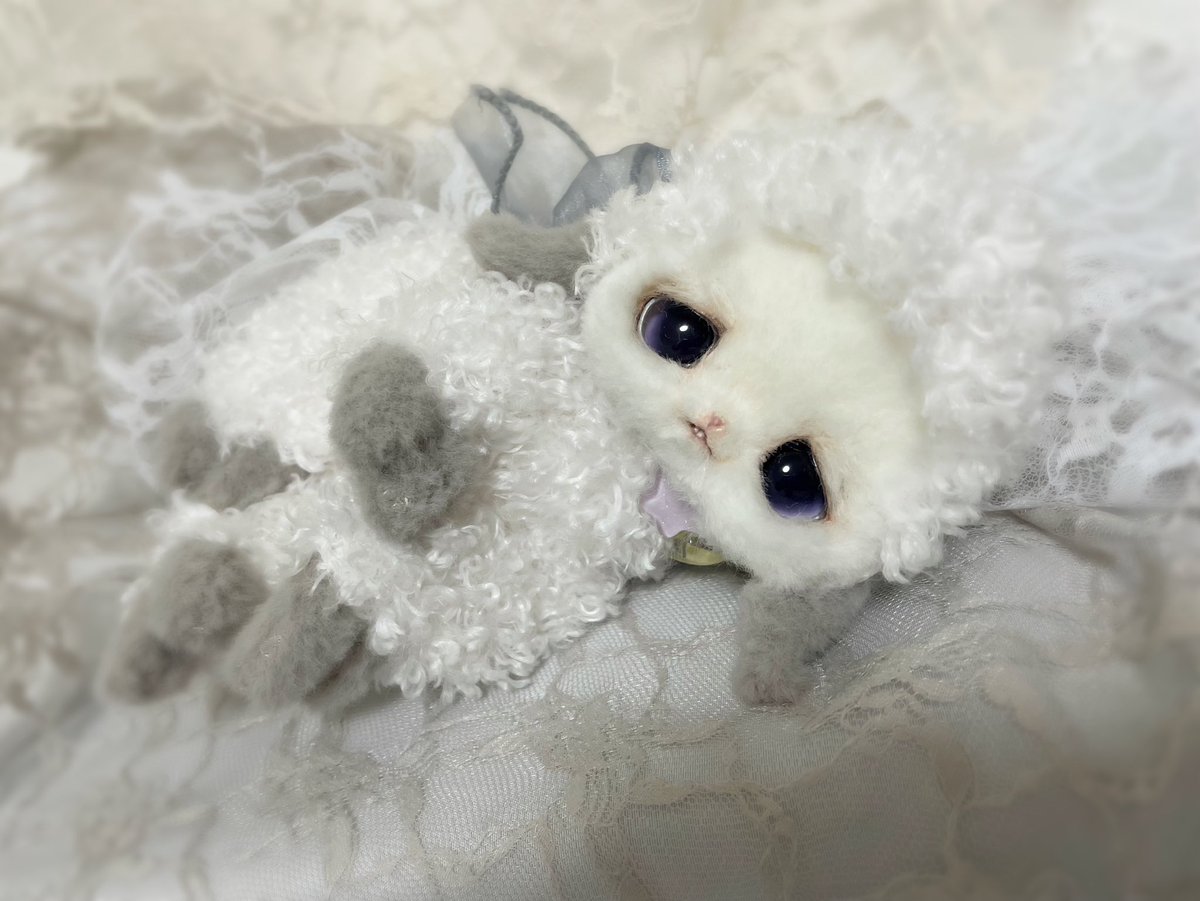 眠そうな羊ちゃん🐏💤 飼い主様再度募集中です☁️🫧 明日5/11夜9時頃