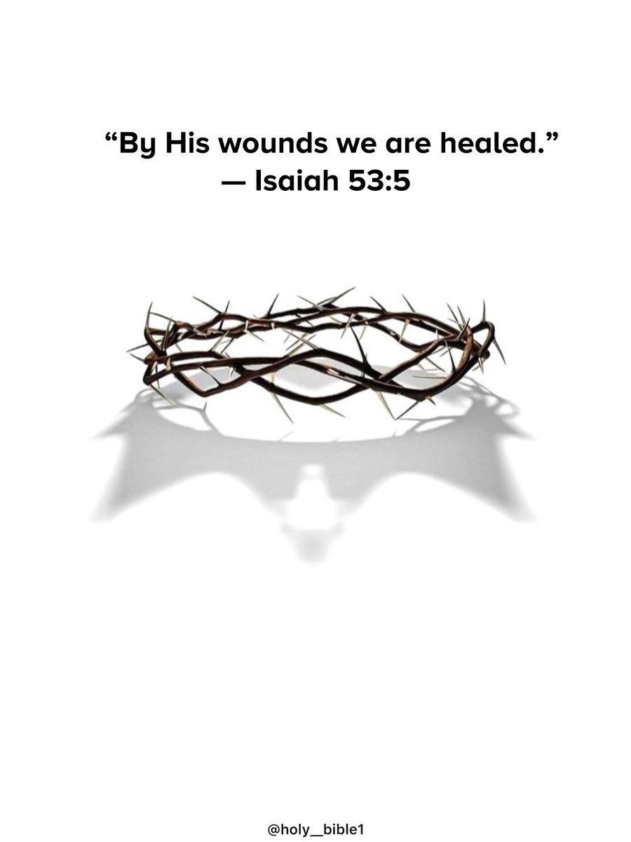 Holy Bible tweet media
