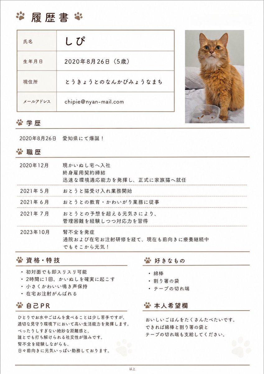 しぴこめᓚᘏᗢ (@chipie0826) / Posts / X