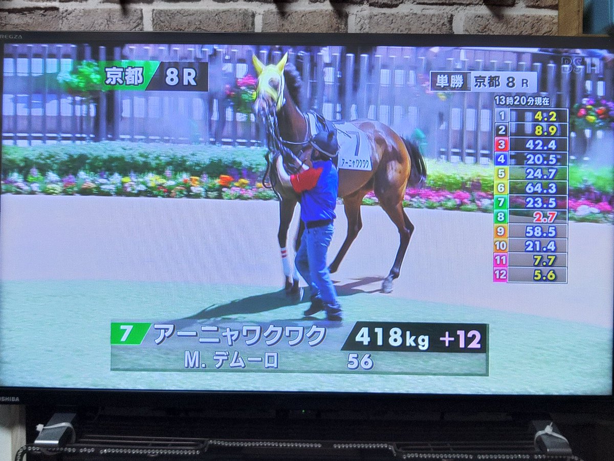 大岡忠相 tweet media