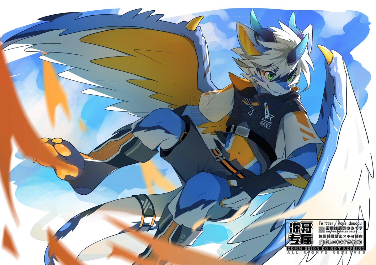 液氮冻豆豆 tweet media