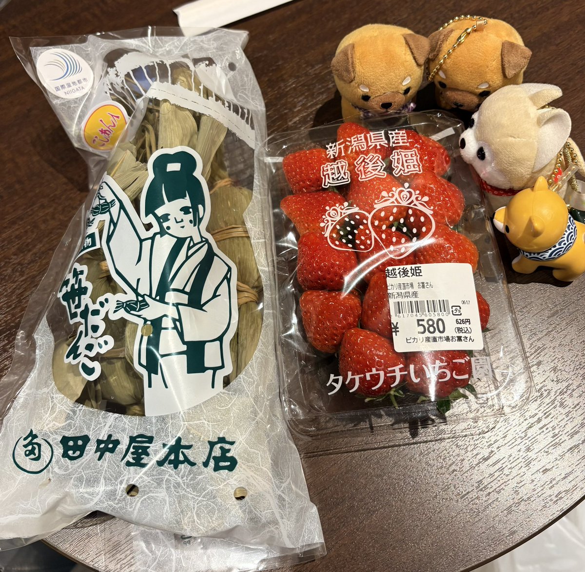 serihaking's tweet photo. 昨日から新潟満喫中！
ライブまであと3時間ちょっと…
そわそわ落ち着かない🥹
#豆しば三兄弟 https://t.co/ZOda6pZJcF