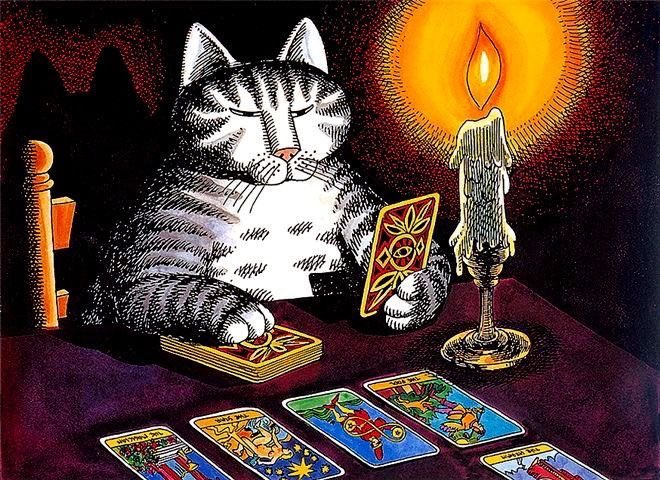 yo acosándolo por el tarot