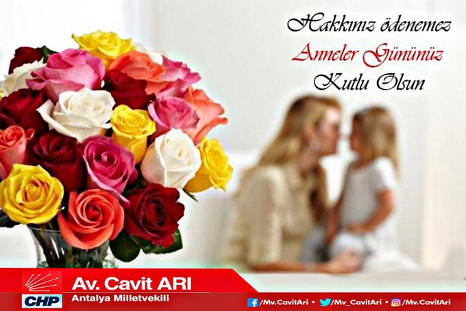 Cavit Arı tweet media