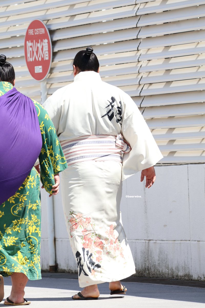 狼雅