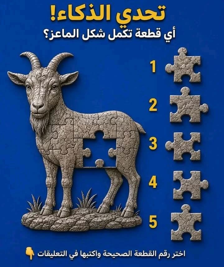 علي إسماعيل tweet media