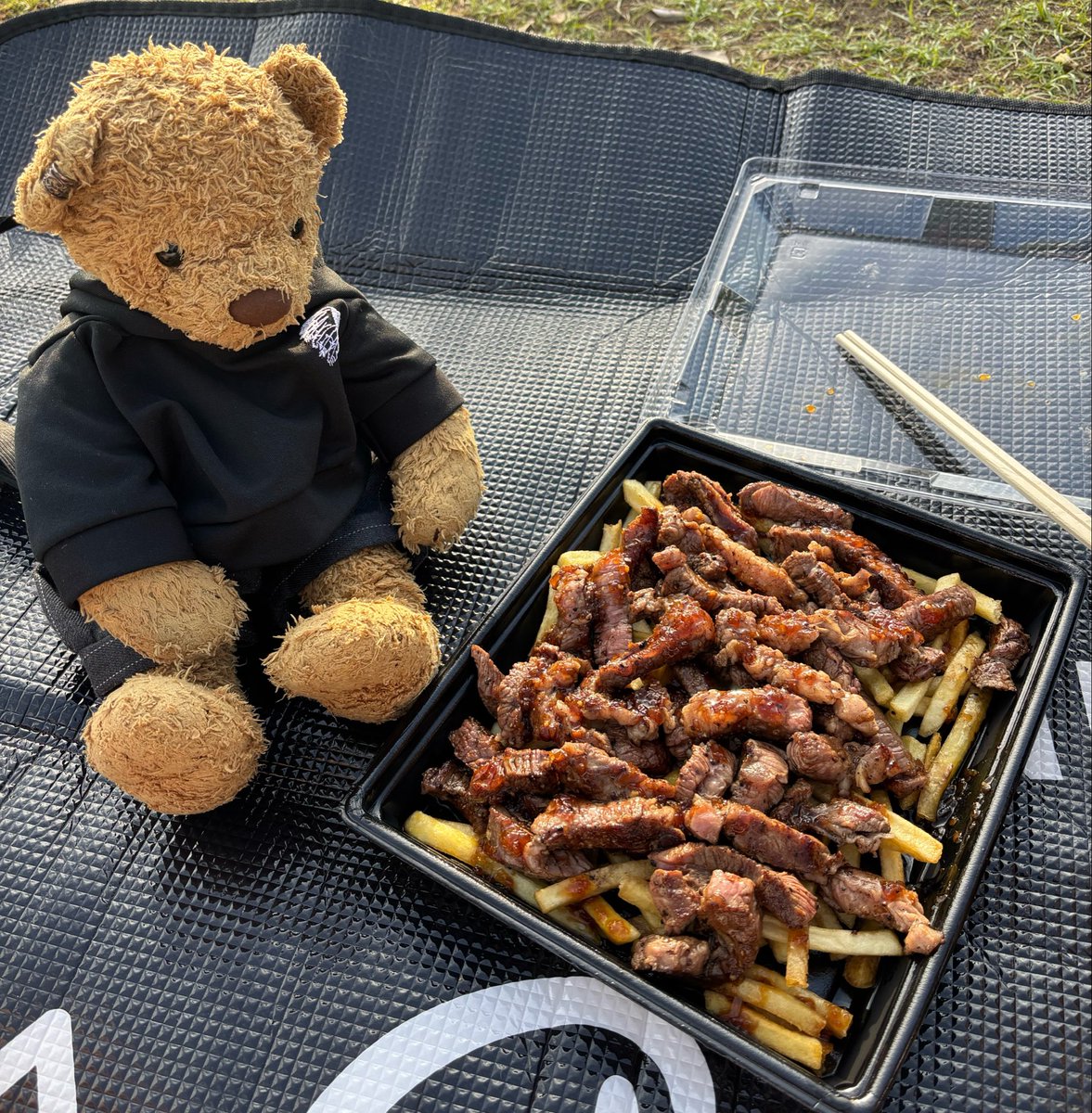 buluvbu's tweet photo. イベント行って食べてばっかりのぶぅ。

#ぬい撮り 
#ぶぅとイベント https://t.co/u9gIP2h1BH