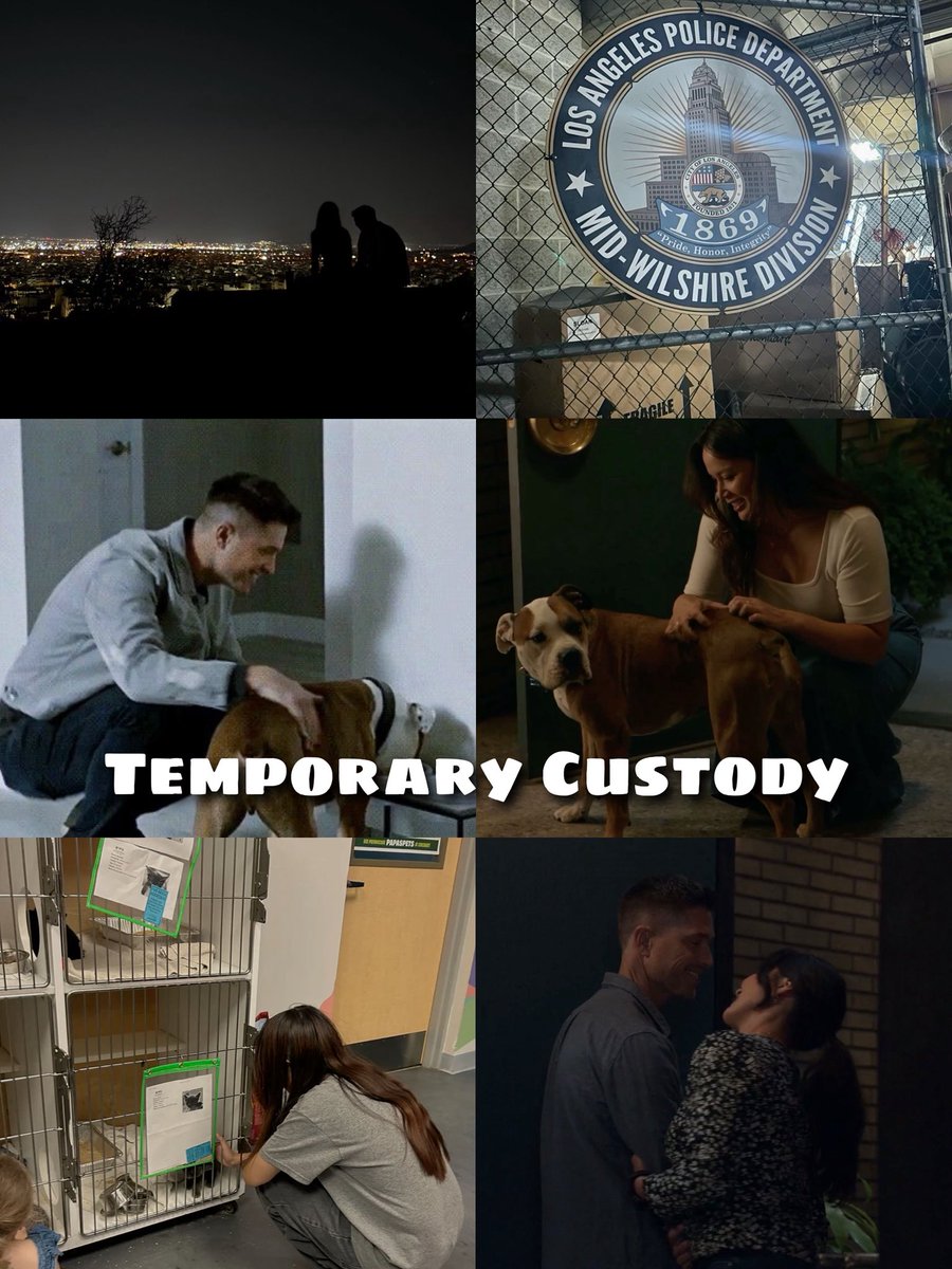slainfreya's tweet photo. so excited to announce that chapter 1 of my new AU: temporary custody, officially out now!!  #therookie #Chenford 

https://t.co/8E7sLYUx90 https://t.co/0ZFsoSVBd5