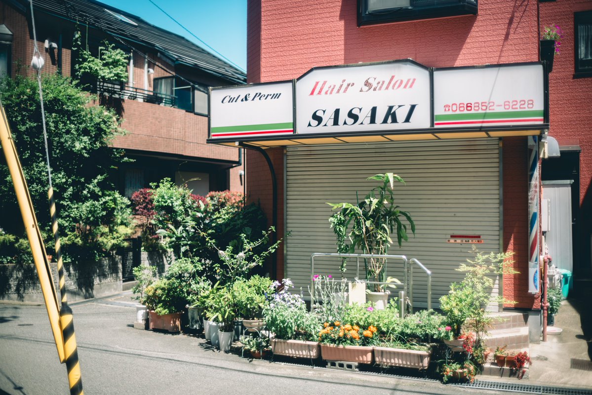 ペやんぐ(カメラ) tweet media