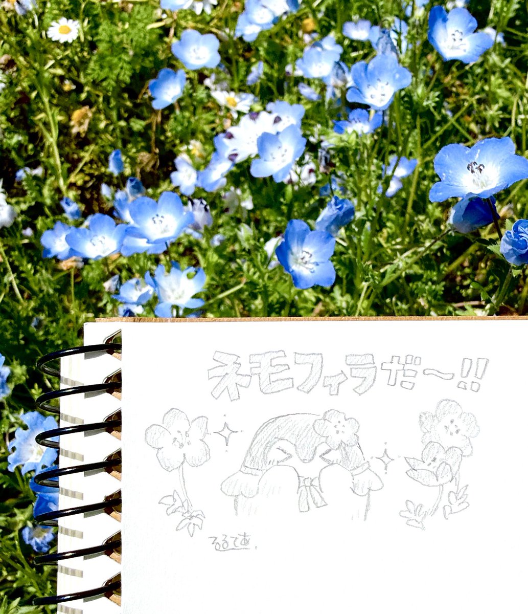 植物園に行ってきました