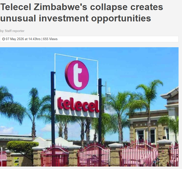 willard shoko tweet media