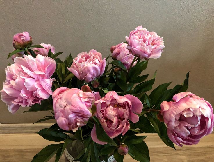 Flowers (@flowerslovers44) on Twitter photo 