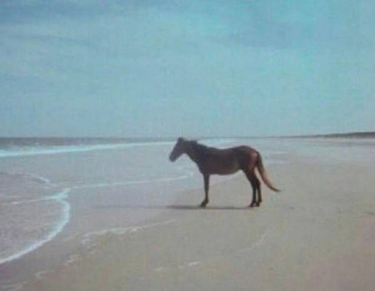 ᵏᵒᶦ ᶠᵉᵛᵉʳ˙⋆✮ tweet media