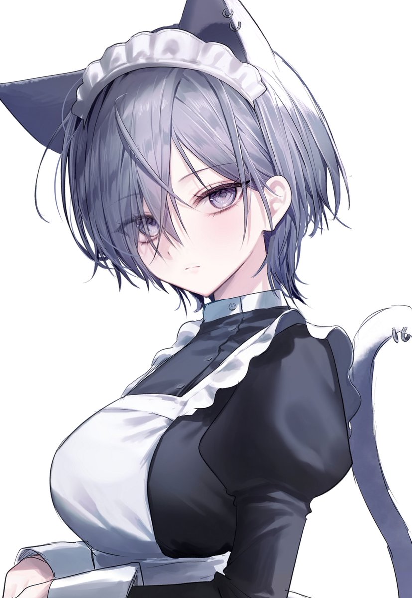 犬帰属 tweet media