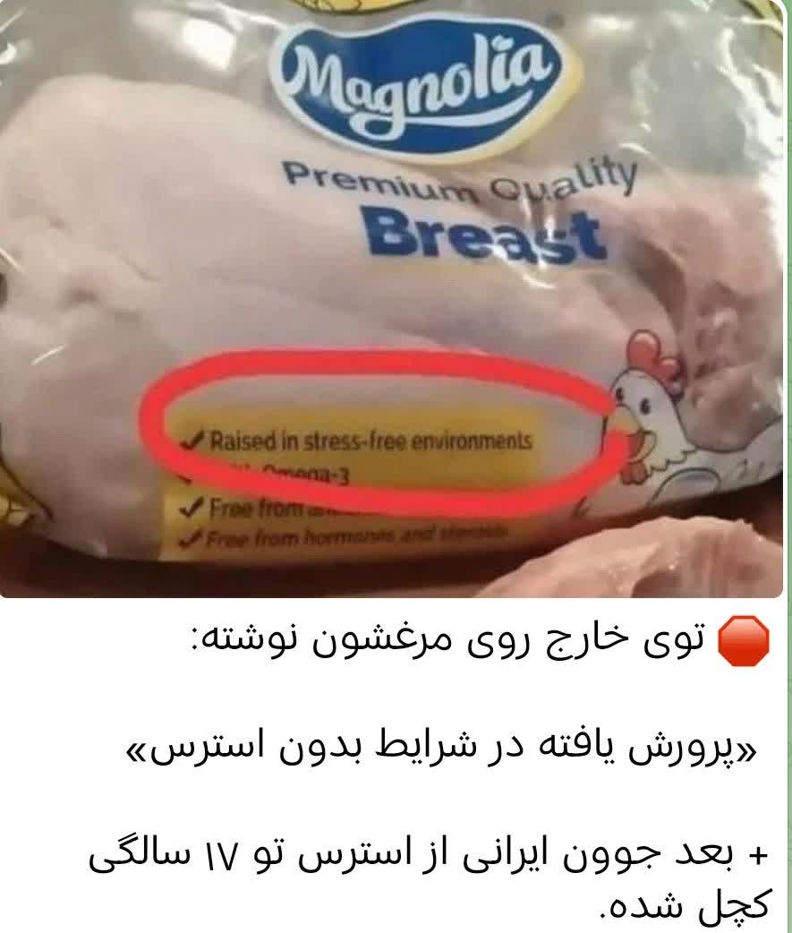 توی خارج روی مرغشون نوشته:
پرورش یافته در شرایط بدون استرس
+بعد جوان ایرانی از استرس توی ۱۷ سالگی کچل شده....

#فالوبک_تضمینی