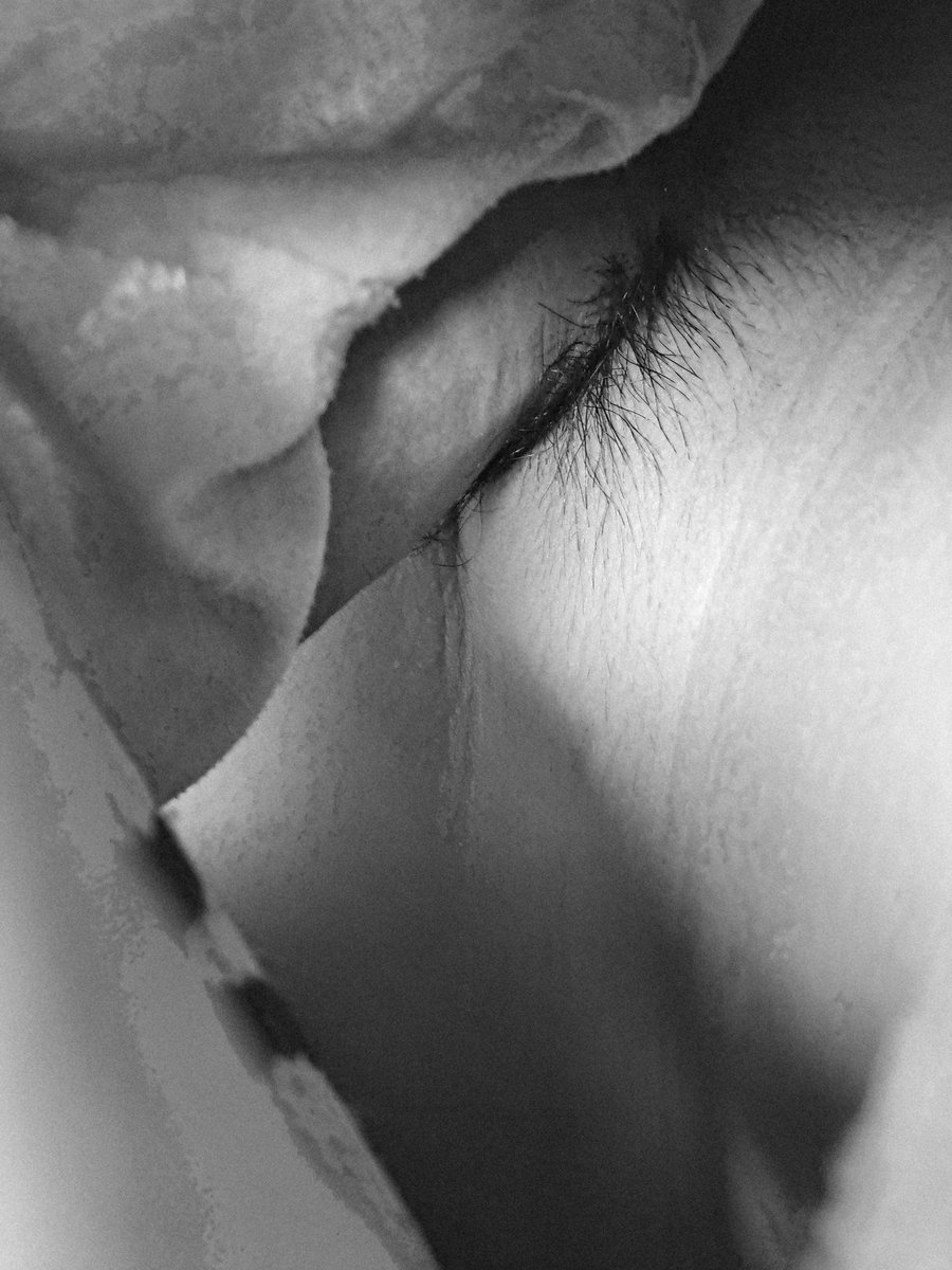 Ale1682794's tweet photo. Quien para pasar pack yo 🐣
🍆🔥 https://t.co/m1rh6c0EvN
