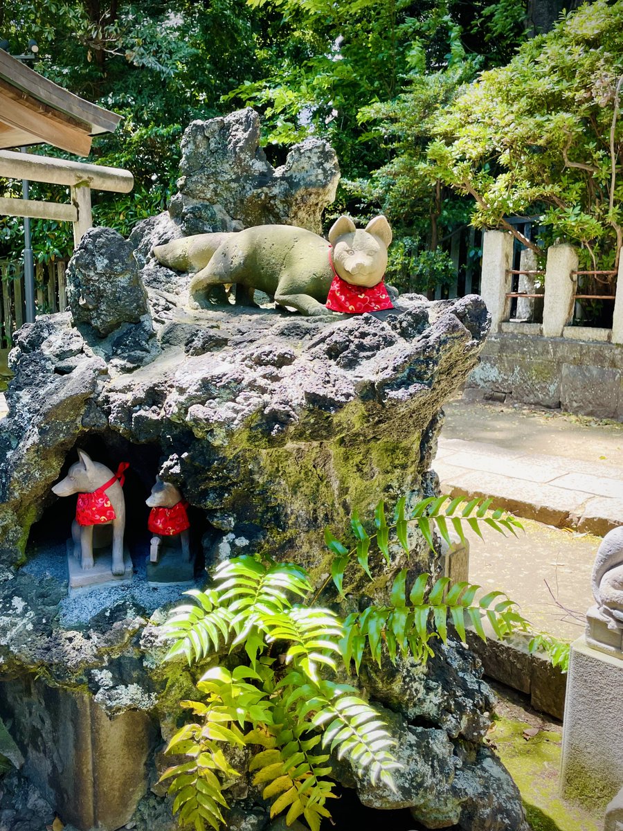 ZAKI_fdp's tweet photo. 少し遅ればせながら初詣に行ってきました・・・！
#根津神社 https://t.co/DoYvad6qRM