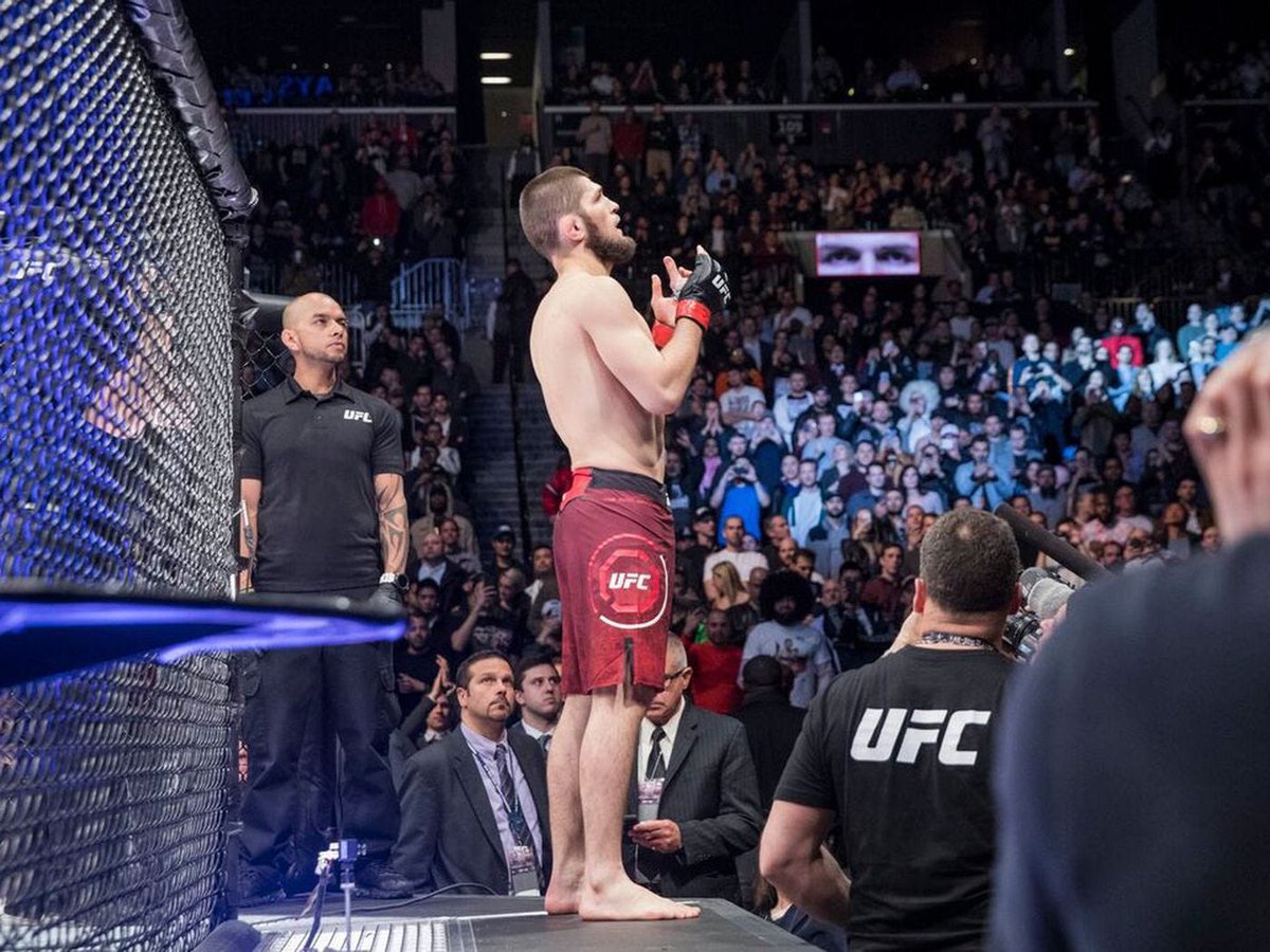 Doctor MMA 🇵🇸 tweet media