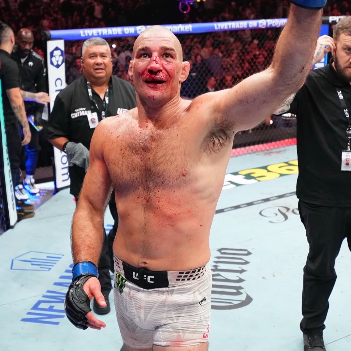MMA Orbit tweet media