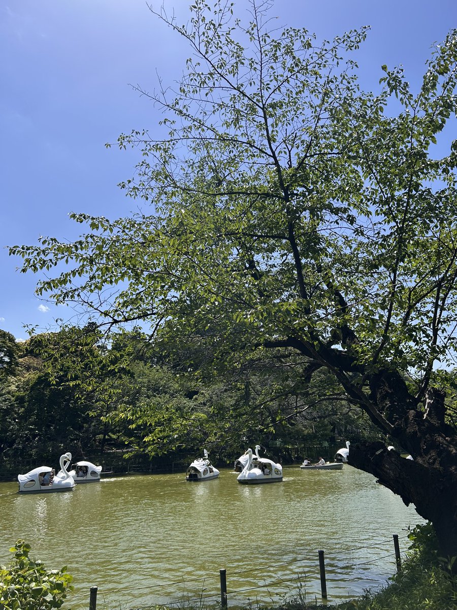 お散歩が出来る公園の近くに住みたい