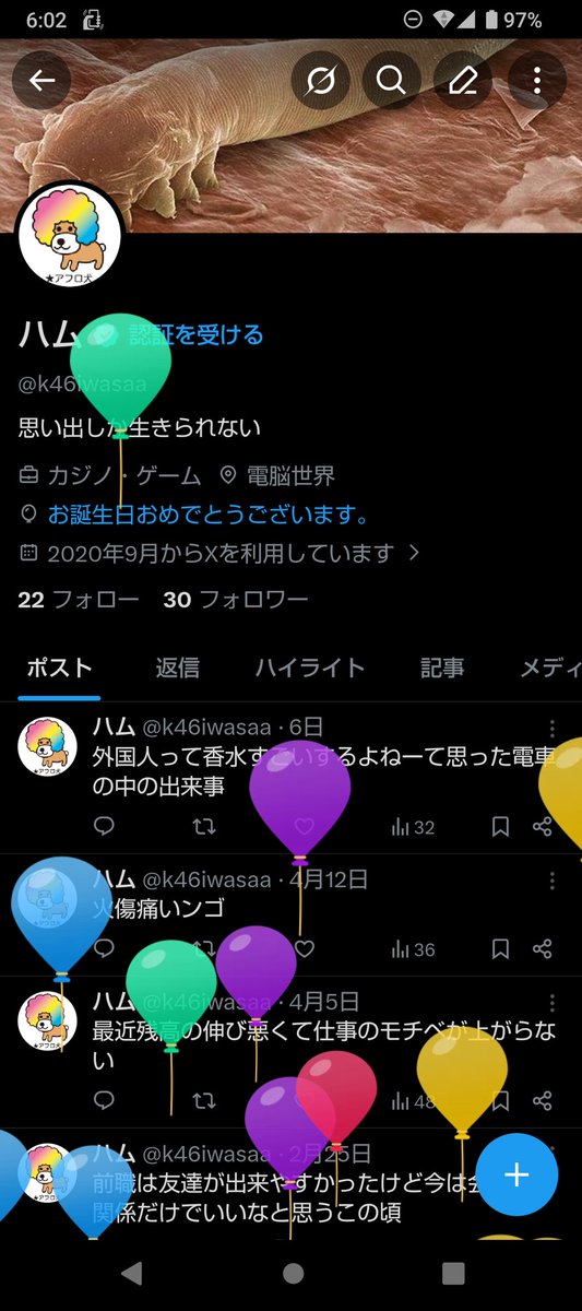 ハム tweet media