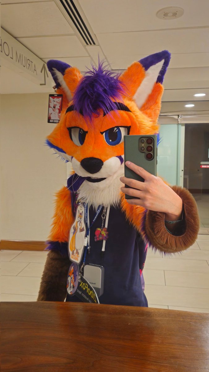 ZiboFox tweet media