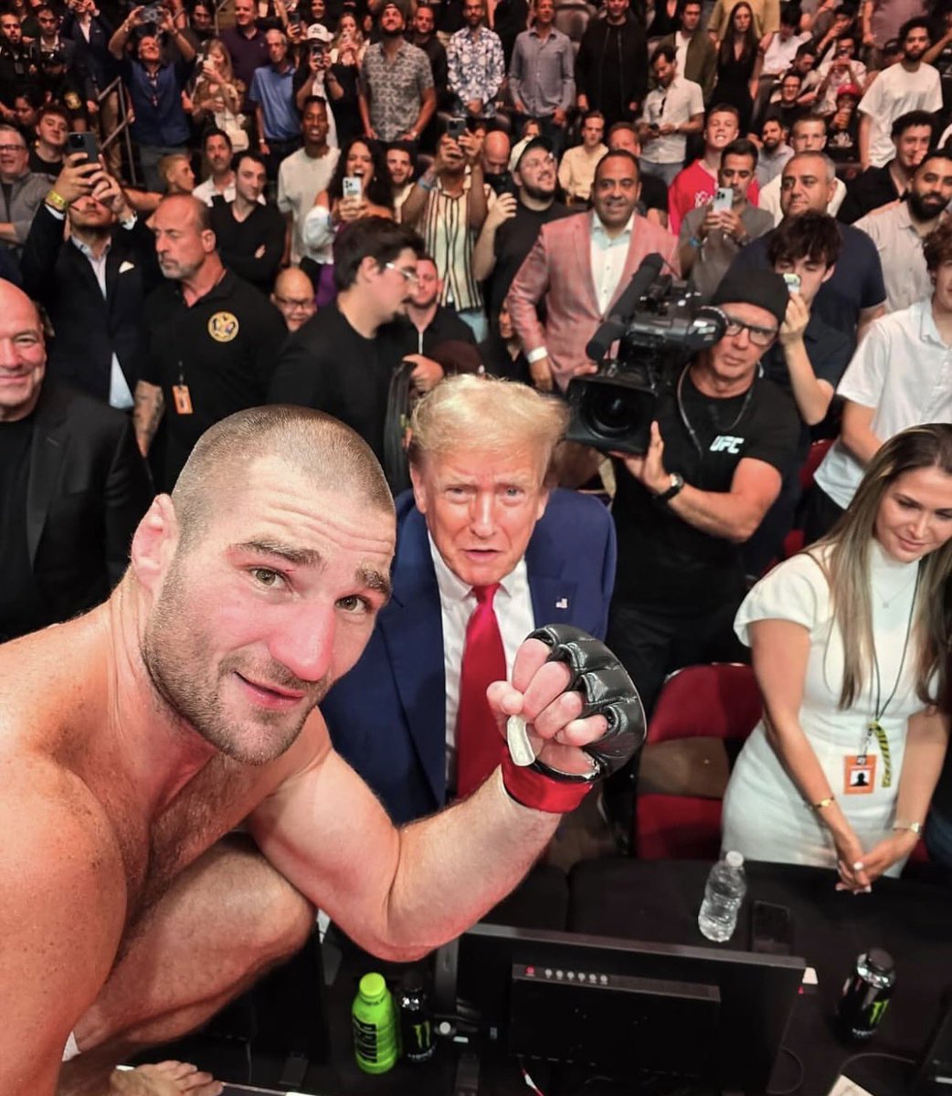 P A N D A M A X X E R tweet media