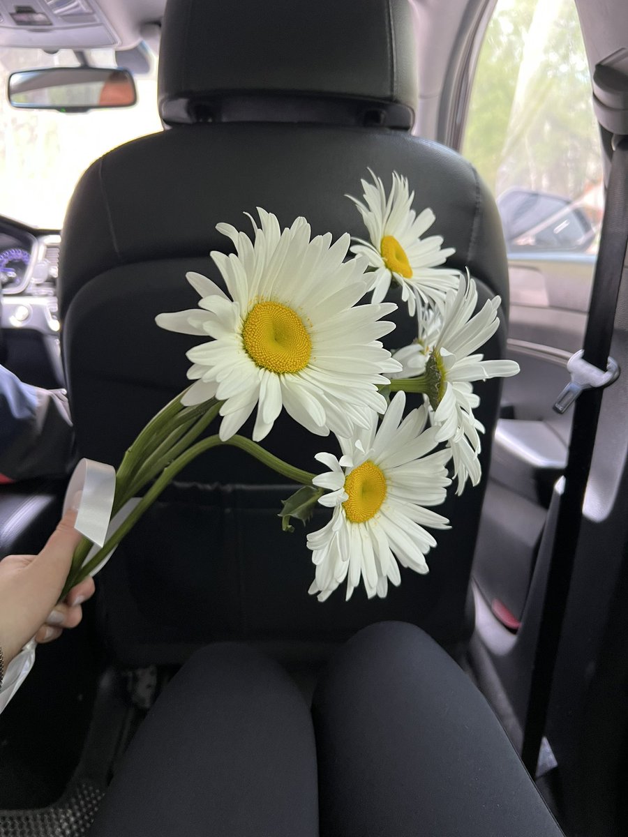 clipclop_'s tweet photo. Не смогла пройти мимо отвратительно больших и длинных ромашек https://t.co/kIL91rl1Vw